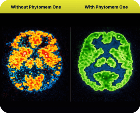 phytomemone™-benefits