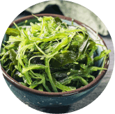phytomemone™-ingredients-2